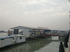 -大湾区中央湿地公园-十九涌