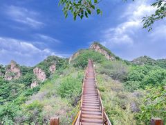 -大岭沟猕猴桃谷风景区