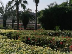 -珠海拱北口岸