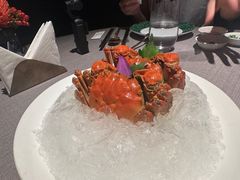 -福玺荟(外滩罗斯福店)