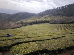 -敬亭山风景名胜区