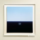 适度拟真｜贾志恒的视觉景观💚☘️