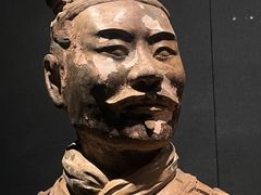 -陕西历史博物馆