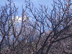 -长春公园(普阳街道)