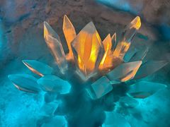 -海合安武汉极地海洋公园
