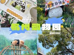 -杭州动物园