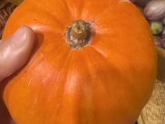 -井水小厨·湘菜(活力广场店)