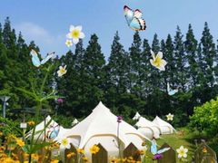 -前小桔亲子创意农场·草莓采摘·露营烧烤