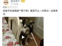 -李小姐の猫咖啡馆(五角场店)