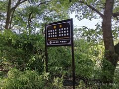 -苏州上方山国家森林公园