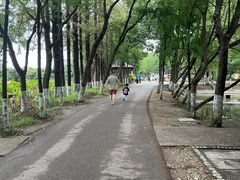 -乌村