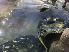 -鸿通城购物中心