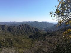 -大岭沟猕猴桃谷风景区