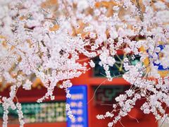 -桃花堤公园