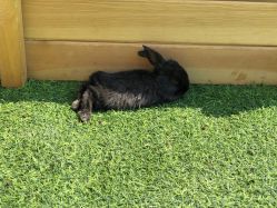 -萌宠亲子动物乐园(槐房万达店)