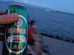 -深圳湾公园(南山区)