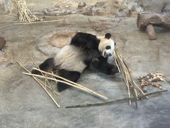 -海南热带野生动植物园