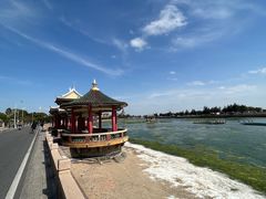 -集美学村