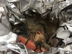 -开心花甲(星河城店)