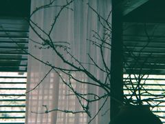 -MOJ coffee(瓯海泽雅水碓坑店)