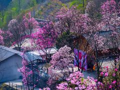 -九皇山景区