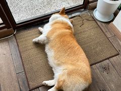 -肥朵食堂(带梦胡同店)