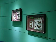 -上海昆虫博物馆