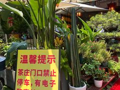 -山水茶艺馆·点心粤菜·30年老字号