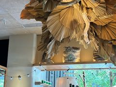 -翠贝卡&Mama Kelly Brunch Coffee(河西店)