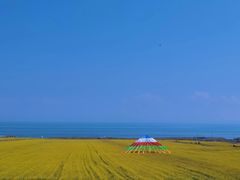 -青海湖国家重点风景名胜区