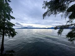 -洱海月湿地公园
