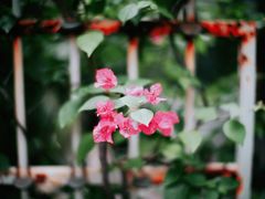 -默迹咖啡馆