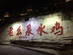 -老幺泉水鸡