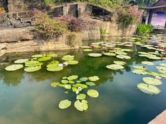 -广州莲花山旅游区