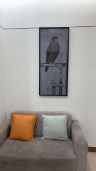 -AIST爱思特医疗美容医院