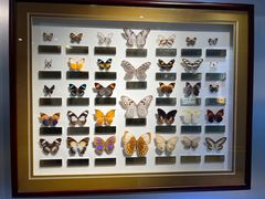 -上海昆虫博物馆