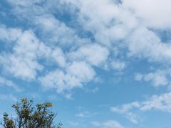 -东莞植物园