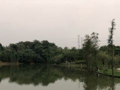 -美景家宴
