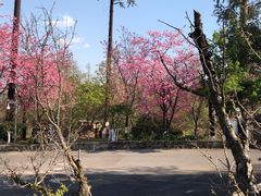 -天龙八部武侠城