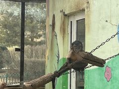 -鄂尔多斯野生动物园