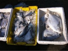 -吕四港大酒店-餐厅