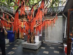 -董立兵烤鸭店(明湖店)