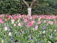 -静安公园(静安寺街道)