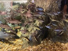 -成都浩海立方海洋公园