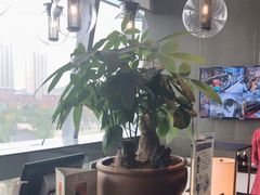 -南昌绿地铂瑞酒店·臻萃轩中餐厅