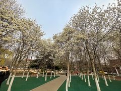 -睦南公园