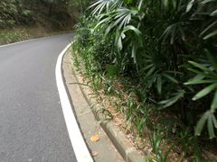-白云山风景名胜区