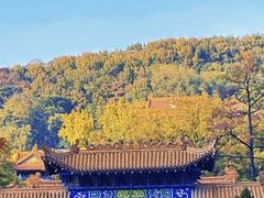 -宝通禅寺