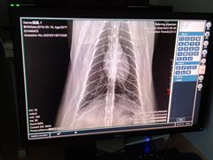 -爱侣宠医·鹦鹉专科·小型哺乳类·异宠专科(灵石路店)