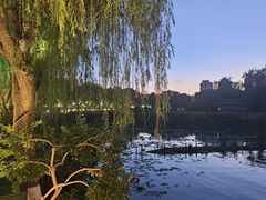 -济南大明湖景区